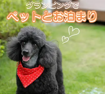 ペットと一緒にお泊まり