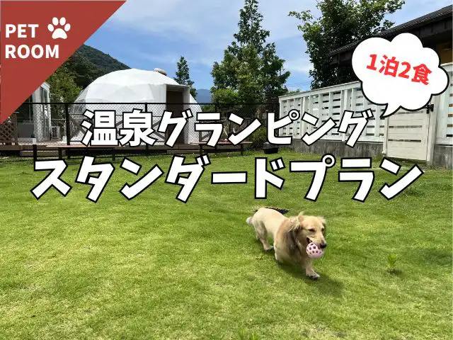 ペットとの旅におすすめのプランはこちら！