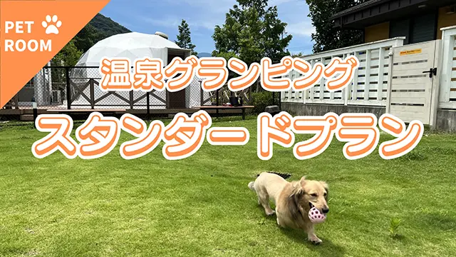 ペットとの旅におすすめのプランはこちら！