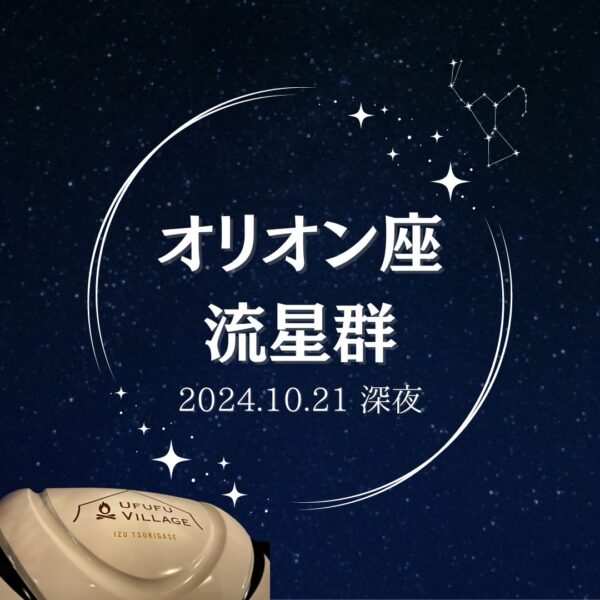 オリオン座流星群☆彡 10月21日深夜が観察のピーク✨