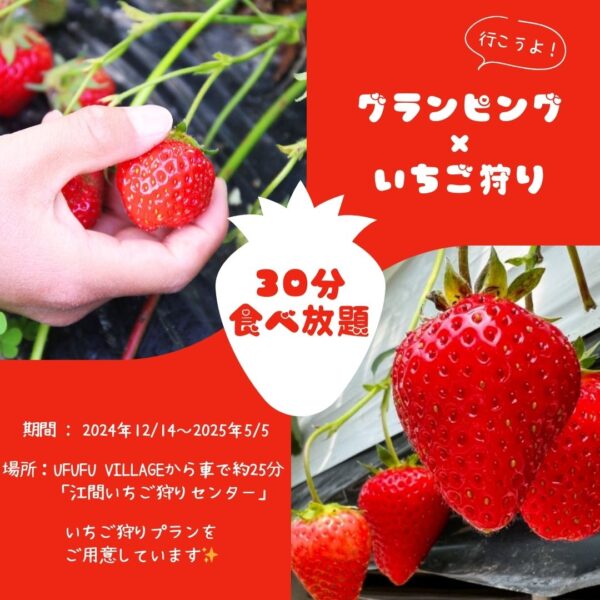 いちご狩りチケット付きプラン🍓✨