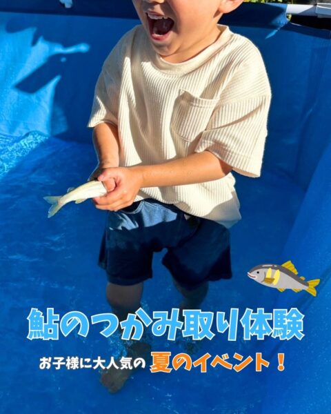 鮎のつかみ取りが始まります🐟✨