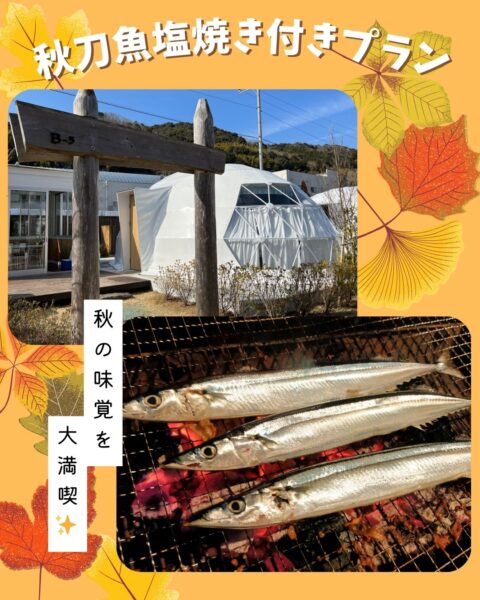 秋の味覚!秋刀魚塩焼き付きプラン🐟✨