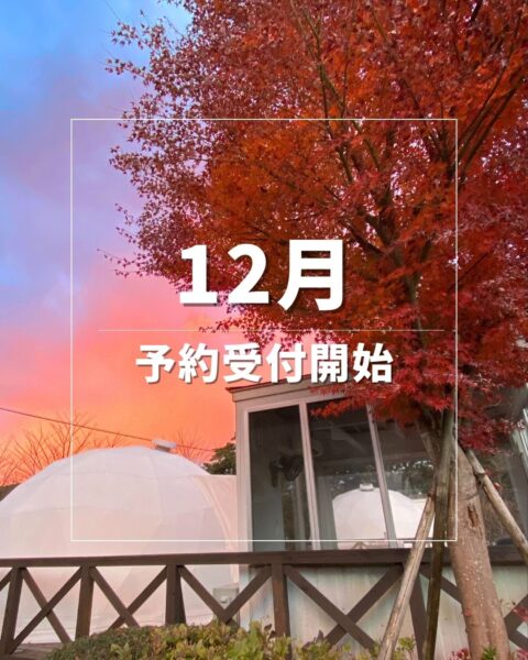 12月のご予約受付を開始いたしました🎄