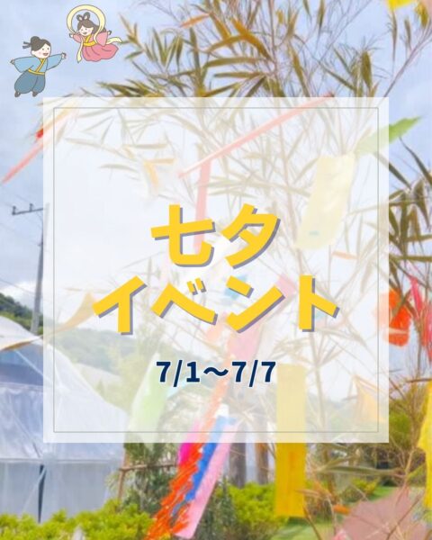 ⭐七夕イベントを開催します⭐