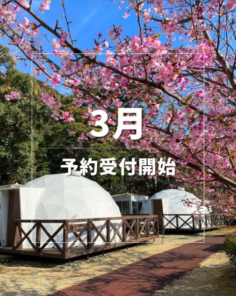 3月のご予約受付を開始いたしました🌸