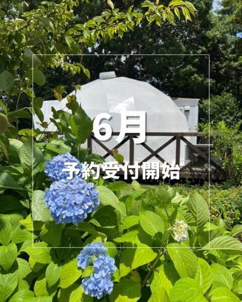 6月のご予約受付を開始いたしました🌼