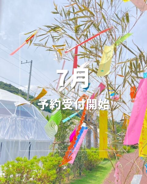 7月のご予約受付を開始いたしました🌻