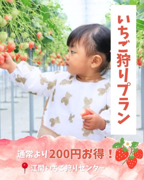 いちご狩り付きプランのご紹介です🍓