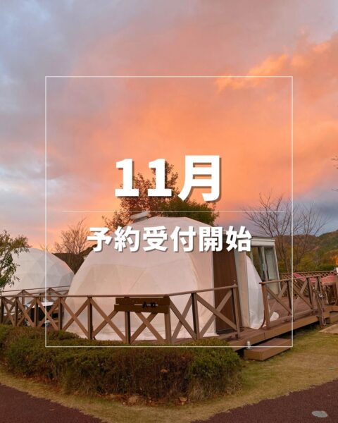 11月のご予約受付を開始いたしました🍂