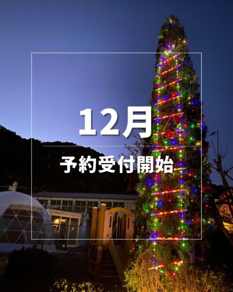 12月のご予約受付を開始いたしました🎄