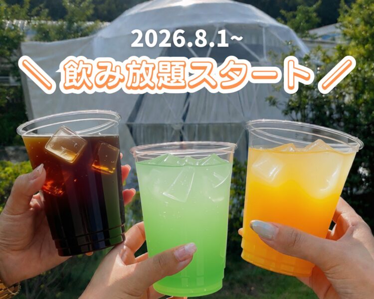 【8月1日スタート】宿泊者限定！飲み放題サービスがはじまります🥤