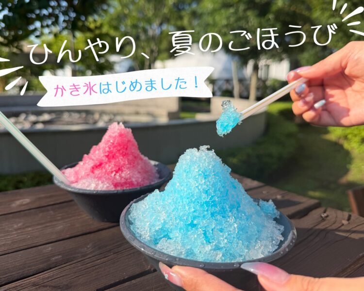 かき氷はじめました🍧