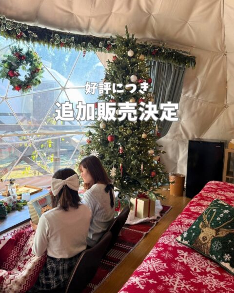 ご好評につきクリスマスルームの11月分を追加販売🎄