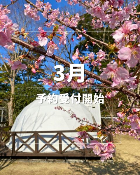 3月のご予約受付を開始いたしました🌸