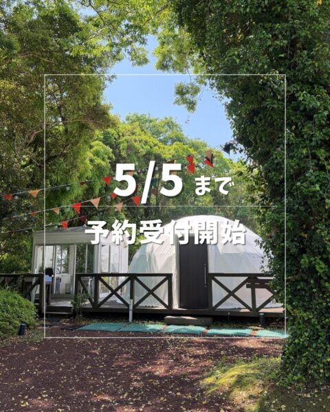 5/5までのご予約受付を開始いたしました🌿